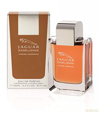 Jaguar Excellence - EDP - Volume: 100 ml for men