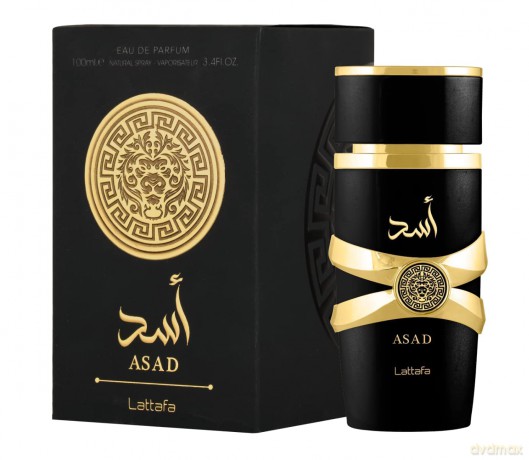 Lattafa Asad - EDP - Volume: 100 ml unisex