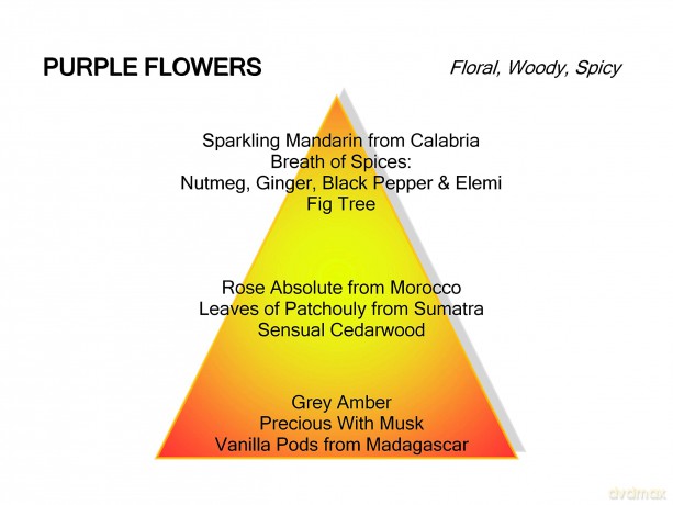 Mancera Purple Flowers - EDP - Volume: 60 ml for women