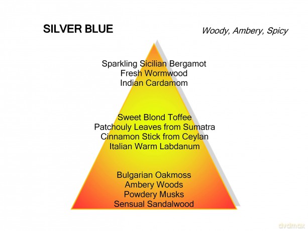 Mancera Silver Blue - EDP - Volume: 120 ml unisex
