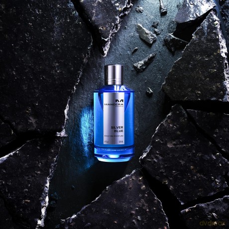 Mancera Silver Blue - EDP - Volume: 120 ml unisex