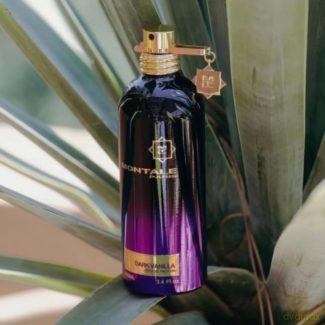Montale Dark Purple - EDP - Volume: 50 ml for women