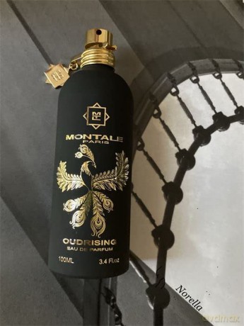 Montale Oudrising - EDP - Volume: 100 ml unisex