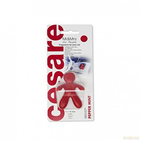 Mr&Mrs Fragrance Cesare Pepper Mint - car smell unisex