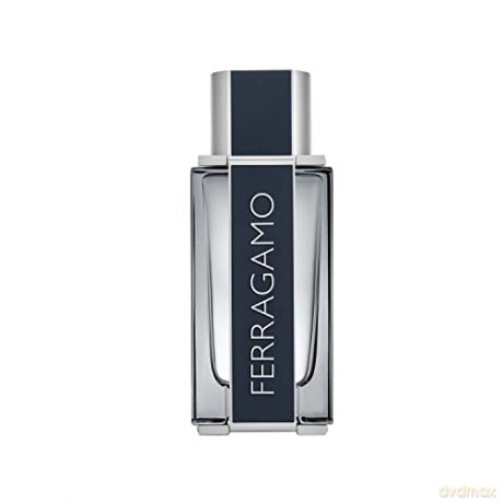 Salvatore Ferragamo Ferragamo - EDT - Volume: 100 ml for men
