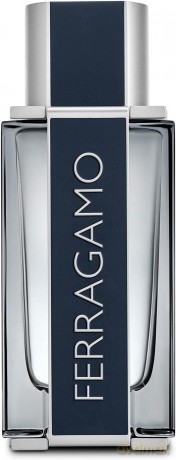 Salvatore Ferragamo Ferragamo - EDT - Volume: 100 ml for men