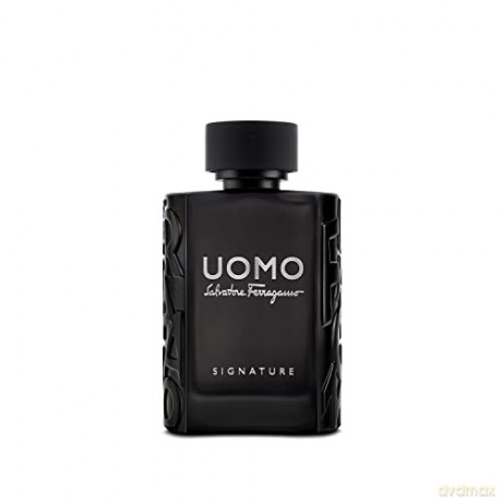 Salvatore Ferragamo Uomo Signature - EDP - Volume: 100 ml for men