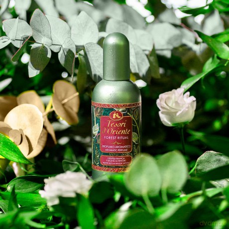 Tesori d´Oriente Forest Ritual - EDP - Volume: 100 ml unisex