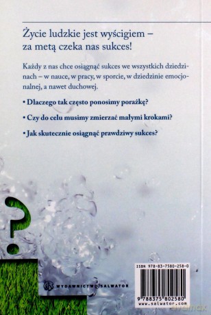 Jak Osiągnąć Prawdziwy Sukces - Bernadette Lemoine [KSIĄŻKA]