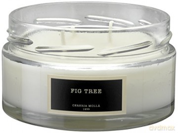 Cereria Mollá Cream scented Moroccan Cedar (Candle) 230 g