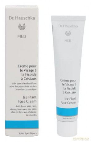 Dr. Hauschka Kosmetic day cream 40 ml