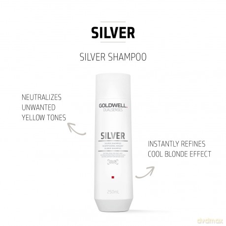 Goldwell Shampoo for blonde and gray hair Dualsenses Silver(Refining Silver Shampoo) 250 ml