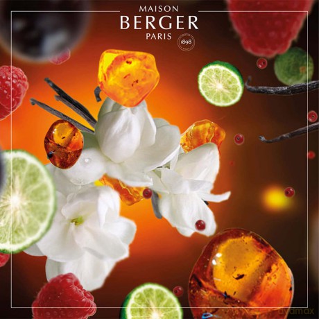 Maison Berger Paris Gift set aroma diffuser Originelle honey + filling Magic of the Orient 250 ml