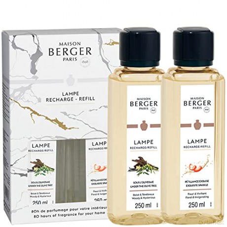 Maison Berger Paris Set of fillings for Duopack catalytic lamps 2 x 250 ml