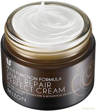 Mizon Face cream with snail secretion filtrate 60% for problematic skin (Snail Repair Perfect Cream) 50 ml