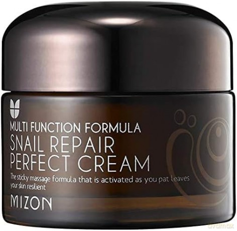 Mizon Face cream with snail secretion filtrate 60% for problematic skin (Snail Repair Perfect Cream) 50 ml