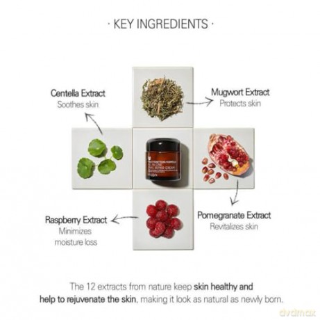 Mizon Regenerating face cream with snail secretion filtrate 92% (All In One Snail Repair Cream) - Volume: 75 ml