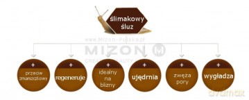 Mizon Skin gel with snail secretion filtrate 80% for problematic skin (Snail Recovery Gel Cream) 45 ml