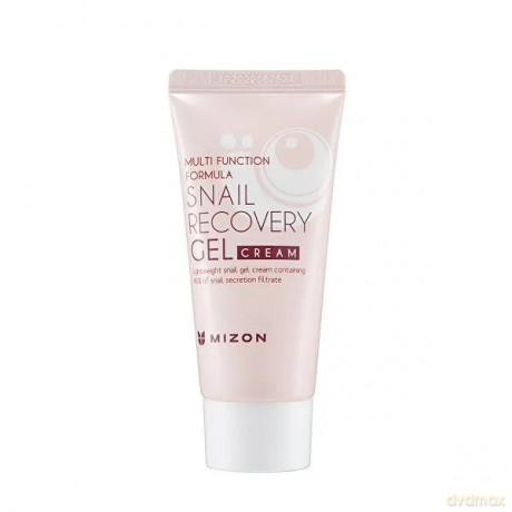 Mizon Skin gel with snail secretion filtrate 80% for problematic skin (Snail Recovery Gel Cream) 45 ml