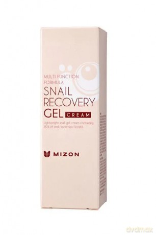 Mizon Skin gel with snail secretion filtrate 80% for problematic skin (Snail Recovery Gel Cream) 45 ml