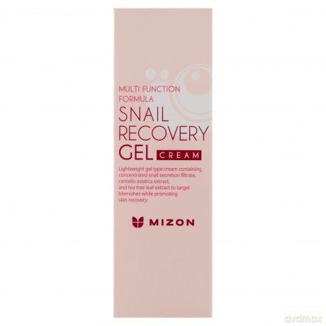 Mizon Skin gel with snail secretion filtrate 80% for problematic skin (Snail Recovery Gel Cream) 45 ml