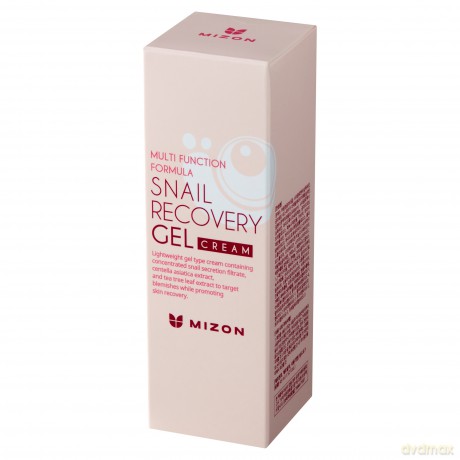 Mizon Skin gel with snail secretion filtrate 80% for problematic skin (Snail Recovery Gel Cream) 45 ml