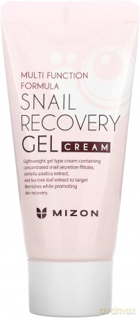 Mizon Skin gel with snail secretion filtrate 80% for problematic skin (Snail Recovery Gel Cream) 45 ml