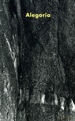 Alegoria - Praca Zbiorowa, Janina Abramowska [KSIĄŻKA]