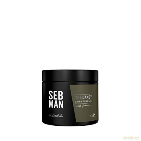 Sebastian Professional Hair SEB MAN The Dandy (Shiny Pommade) 75 ml
