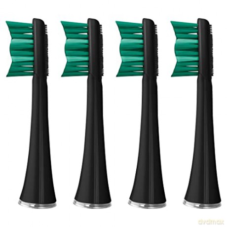 Sencor Replacement head for sonic toothbrushes SOX 004BK