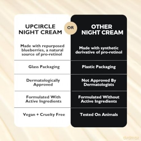 UpCircle Night Cream with Blue berry Extract 55 ml
