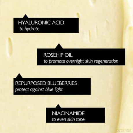 UpCircle Night Cream with Blue berry Extract 55 ml