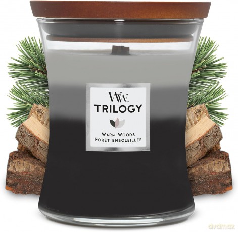 WoodWick Scented candle vase Trilogy Warm Woods 275 g
