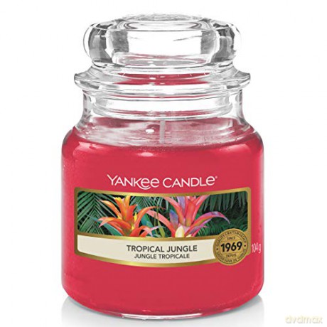 Yankee Candle Aromatic Candle Classic Small Tropical Jungle 104g