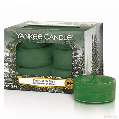 Yankee Candle Aromatic tea candles Evergreen Mist 12 x 9.8 g