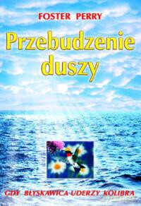Przebudzenie Duszy - Foster Perry [KSIĄŻKA]