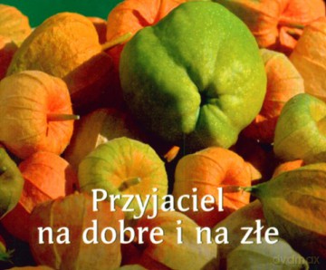 Przyjaciel Na Dobre I Na Złe [KSIĄŻKA]