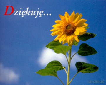 Dziękuję... [KSIĄŻKA]