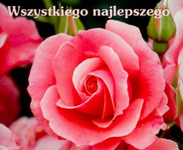 Wszystkiego Najlepszego [KSIĄŻKA]