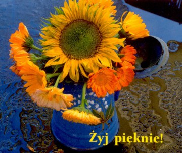 Żyj Pięknie [KSIĄŻKA]