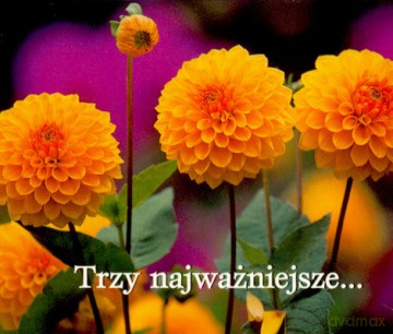 Trzy Najważniejsze... [KSIĄŻKA]