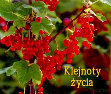 Klejnoty Życia [KSIĄŻKA]