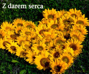 Z Darem Serca [KSIĄŻKA]