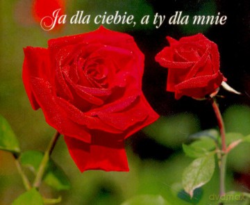 Ja Dla Ciebie A Ty Dla Mnie [KSIĄŻKA]