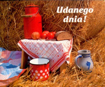 Udanego Dnia [KSIĄŻKA]