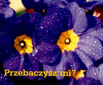 Przebaczysz Mi [KSIĄŻKA]