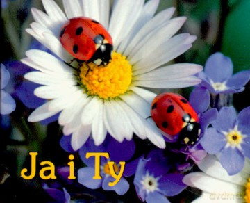 Ja I Ty [KSIĄŻKA]
