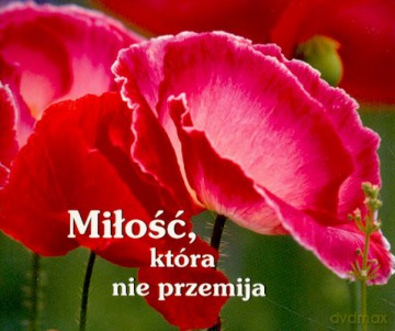 Miłość Która Nie Przemija [KSIĄŻKA]