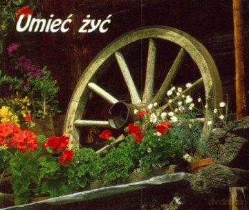 Umieć Żyć [KSIĄŻKA]
