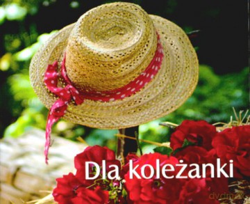 Dla Koleżanki [KSIĄŻKA]